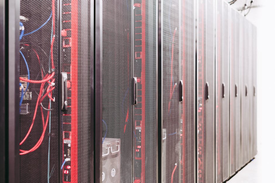 network management services